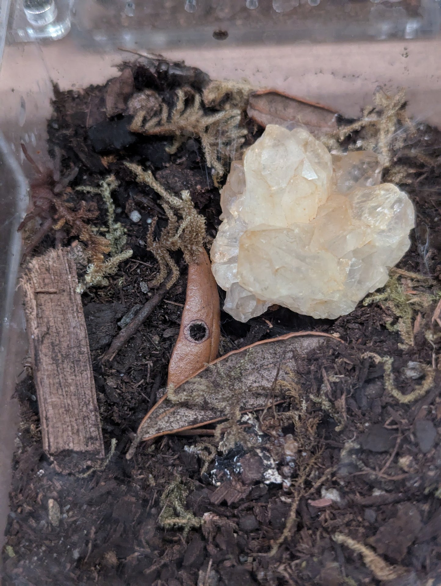 Natural Raw Citrine Quartz