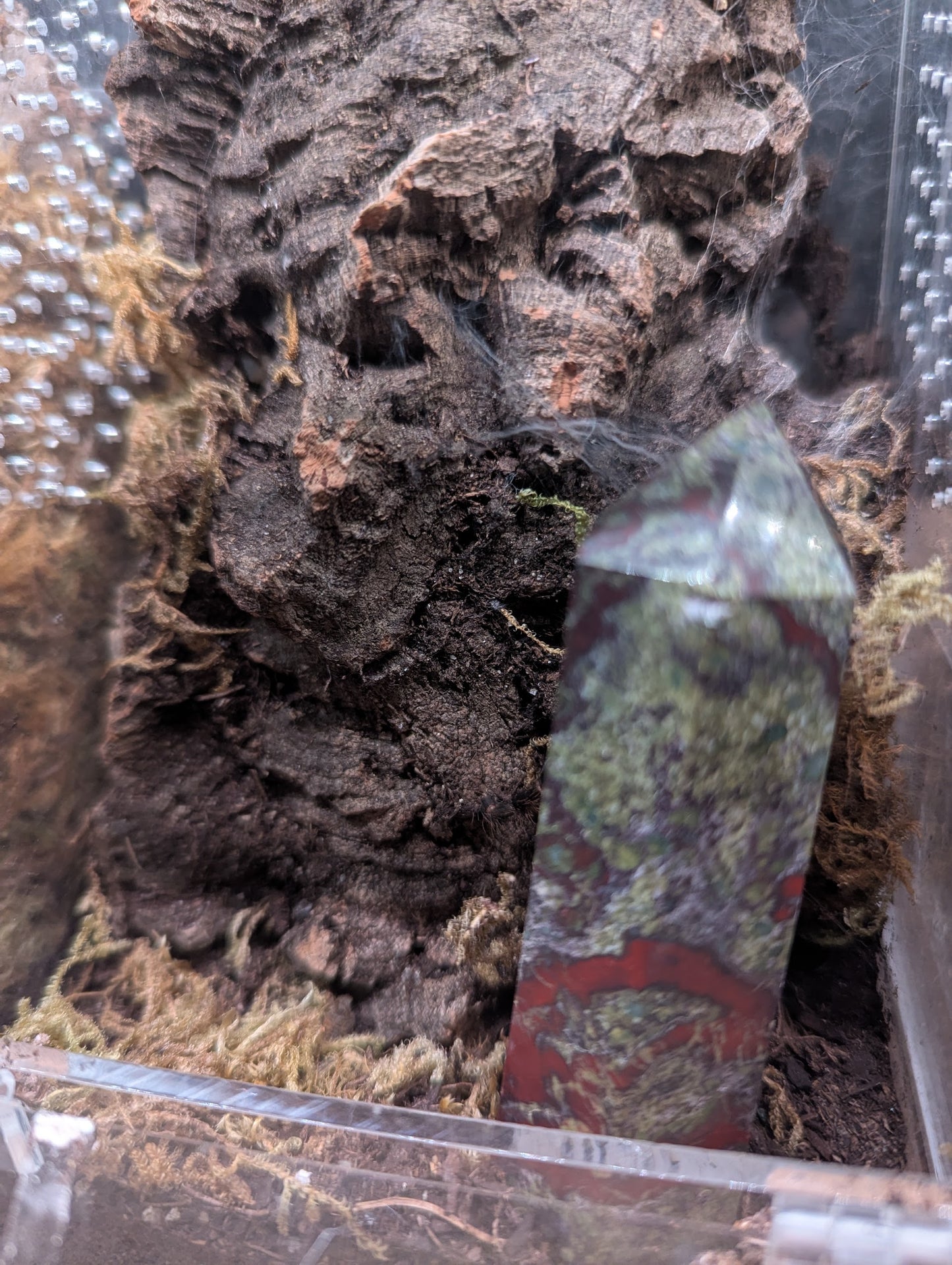 Dragon Blood Tower