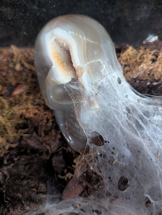 Agate Skull Druzy